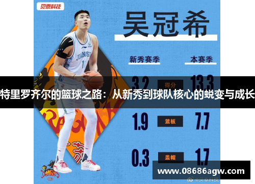 特里罗齐尔的篮球之路：从新秀到球队核心的蜕变与成长